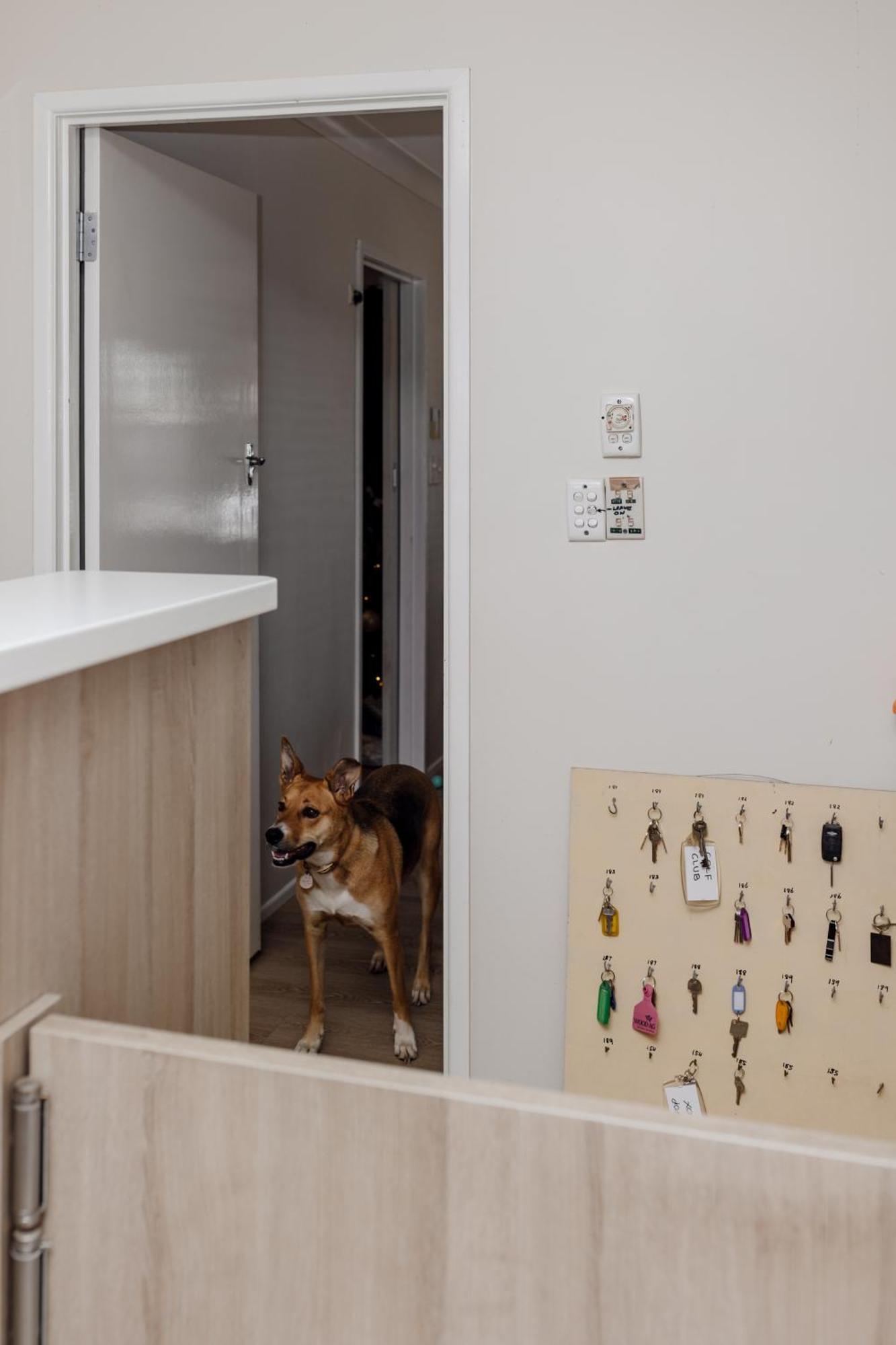 Starline Motor Inn Miles Екстер'єр фото
